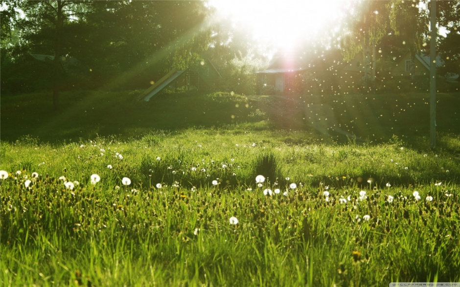 美丽的绿色风光护眼桌面壁纸 第二辑
