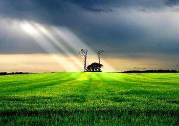 精美的桌面壁纸