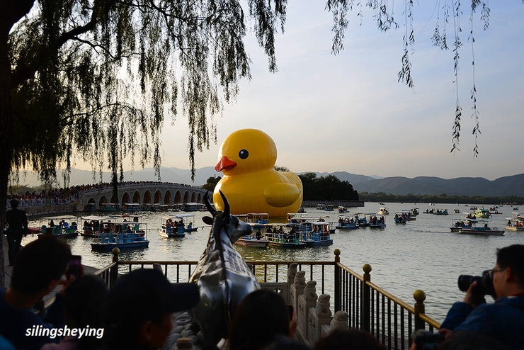 拍不够的颐和园