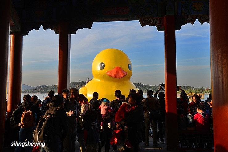 拍不够的颐和园