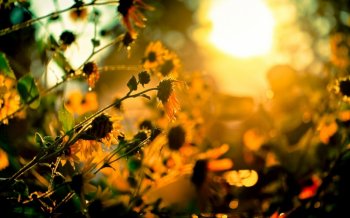 绚丽多彩好看的天边云彩唯美图片宽屏电脑桌面壁纸第一辑