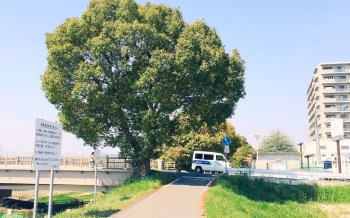 小清新高清唯美风景图片桌面壁纸