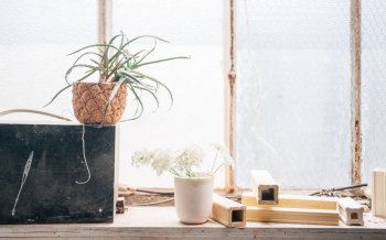 小清新壁纸静物摄影温馨图片