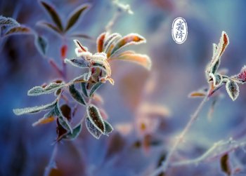 二十四节气之霜降电脑主题