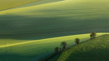 护眼壁纸桌面 高清