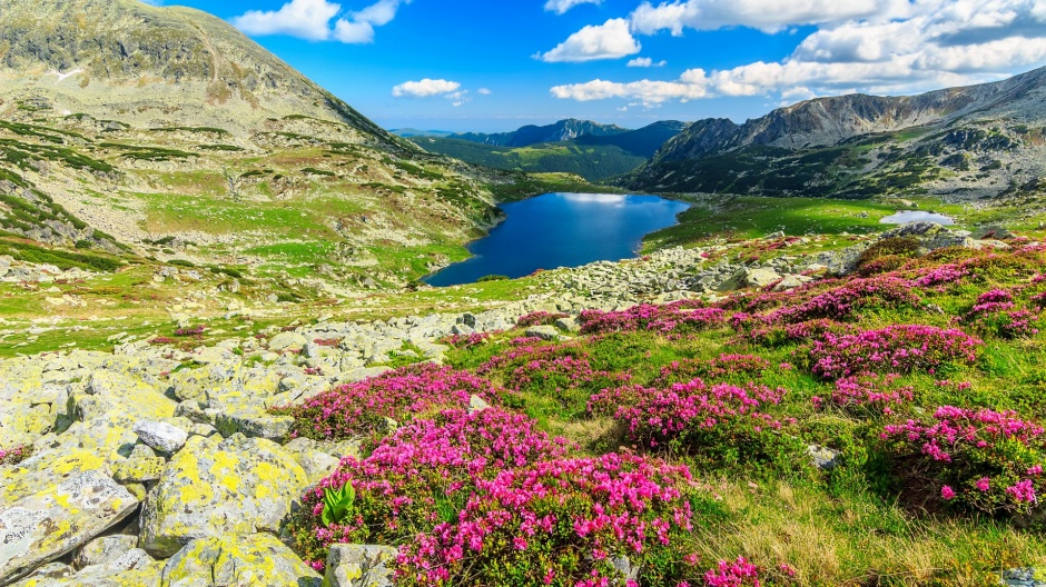 世界各国美得让人窒息的风景图片