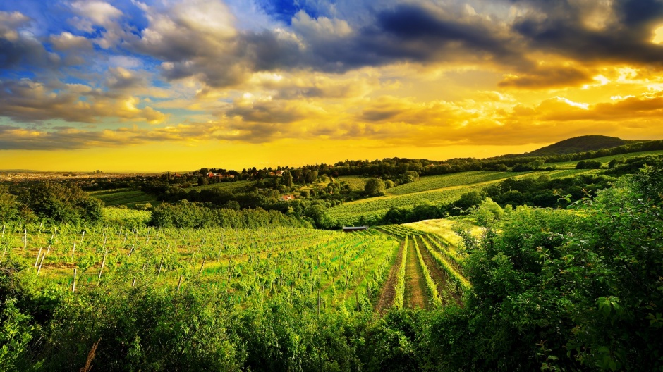 世界各国美得让人窒息的风景图片