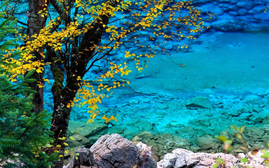 春来江水绿如蓝超唯美的风景图片