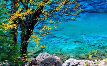 春来江水绿如蓝超唯美的风景图片