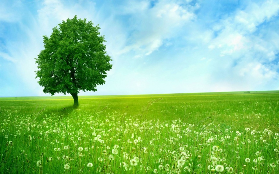 清新唯美风景图片素材