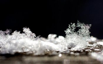冬天里的雪花高清壁纸