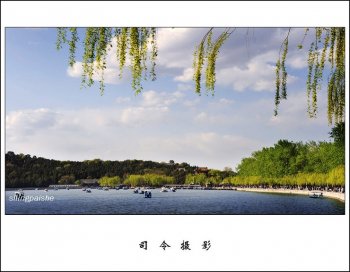 拍不够的颐和园——春在枝头