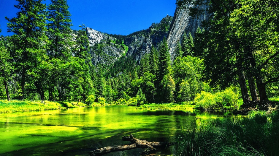 绿意清新自然风光图片欣赏