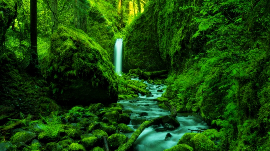 绿意清新自然风光图片欣赏