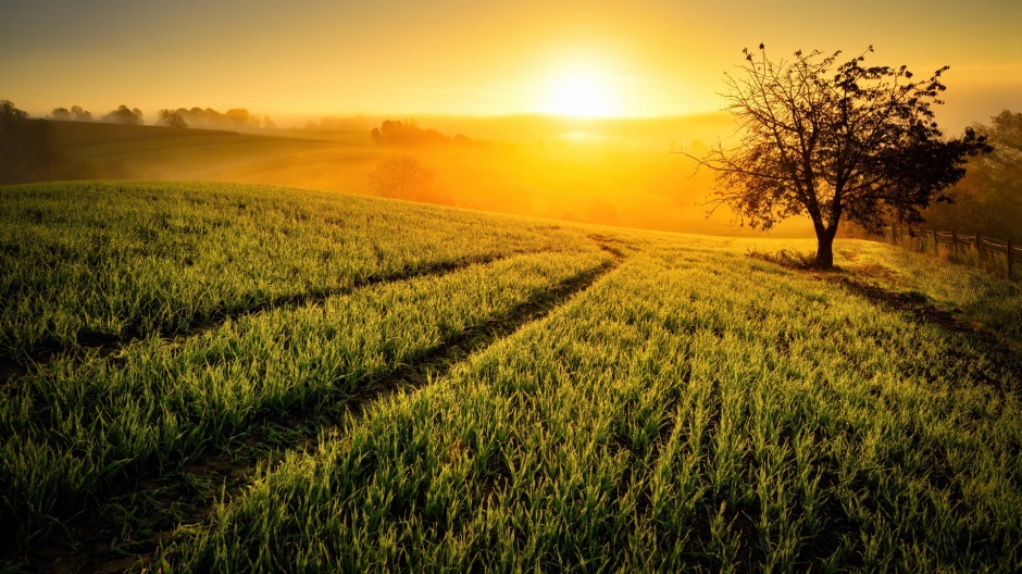 最美不过夕阳红田野风光图片