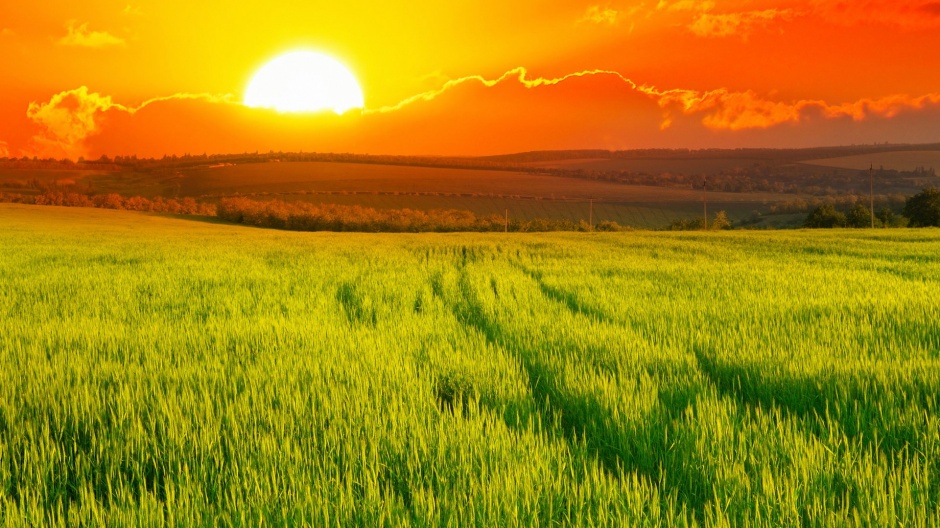 最美不过夕阳红田野风光图片