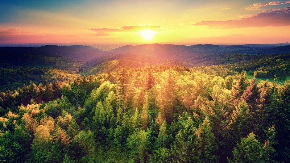 最美不过夕阳红田野风光图片