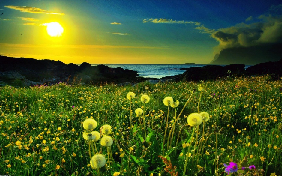 绿色自然风光清新美景图片