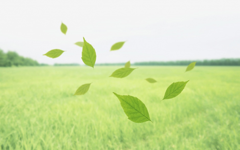 唯美的小清新植物绿意盎然风景图片