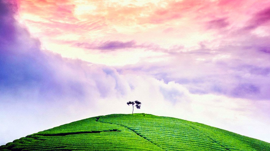 大自然风景优美的图片欣赏