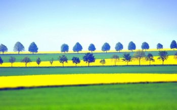 大自然风景优美的图片欣赏