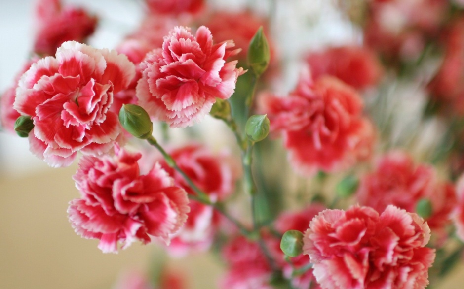 缤纷春日唯美风景图片大全