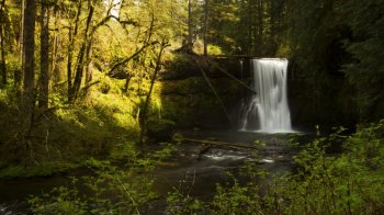 感受清新空气天然绿色护眼桌面壁纸1下载