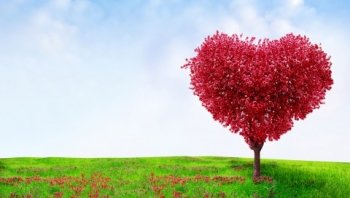 草原上的爱情树