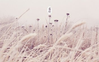 二十四节气霜降电脑壁纸下载