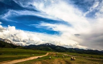 坎布拉国家森林公园风景壁纸桌面