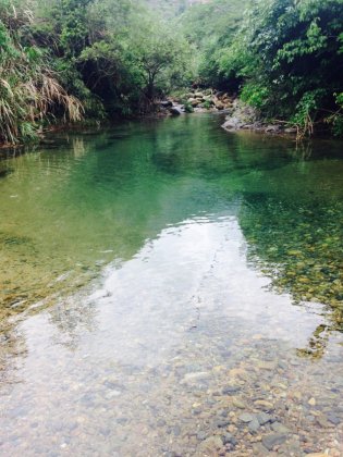 好看的清新溪水图片