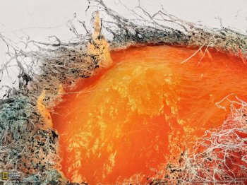 《国家地理杂志》 2013年三月壁纸