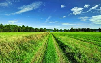 天空农场高清桌面壁纸下载