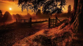 夕阳下的红色小路电脑壁纸下载