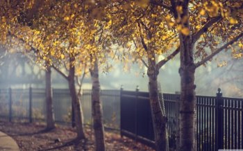 唯美景色桌面电脑壁纸风景