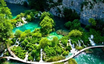 绿色自然风景护眼电脑桌面