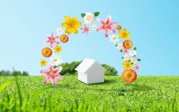 绿色空间桌面壁纸