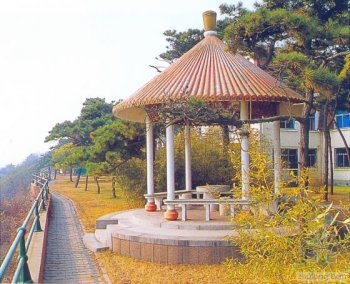 小憩片刻的公园亭子图片