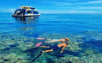 美丽海底世界图片桌面壁纸下载