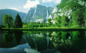 绿色背景护眼风景壁纸下载