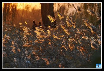 拍不够的西堤颐和园