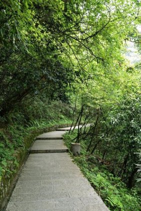 大观台图片  张家界在哪里看日出最好？