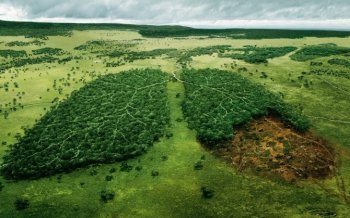 自然风光图片桌面壁纸高清