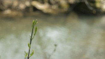 自然风景壁纸小清新图片桌面