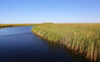 呼伦贝尔湖摄影