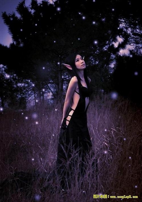 唯美暗夜精灵cosplay图片欣赏