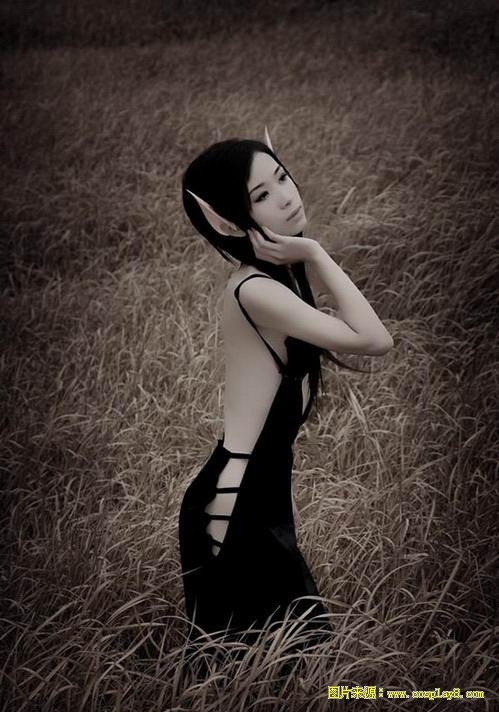 唯美暗夜精灵cosplay图片欣赏