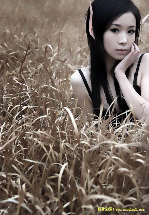 唯美暗夜精灵cosplay图片欣赏