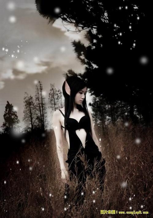 唯美暗夜精灵cosplay图片欣赏