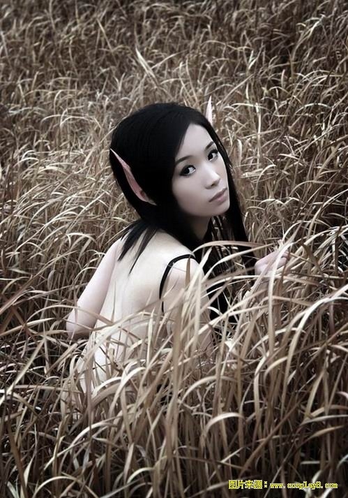 唯美暗夜精灵cosplay图片欣赏